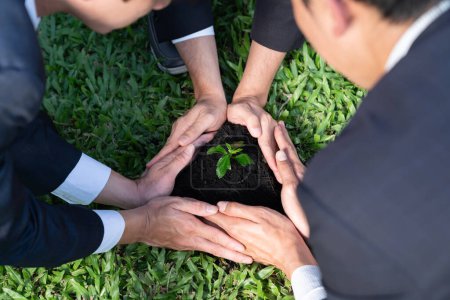 Top-View-Gruppe von Geschäftsleuten wachsen und pflegen Pflanzen zusammen auf gedüngtem Boden Konzept der Öko-Unternehmen verpflichtet CSR Corporate Social Responsibility Prinzip, die Verringerung der CO2-Emissionen. Kreisel