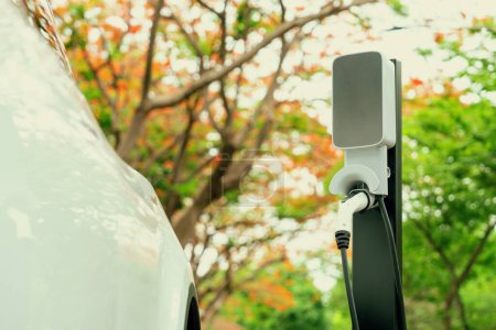 Photo for EV electric vehicle recharging battery from EV charging station in national park or outdoor autumn forest scenic. Natural protection with eco friendly EV car travel in the autumnal orange woods. Exalt - Royalty Free Image