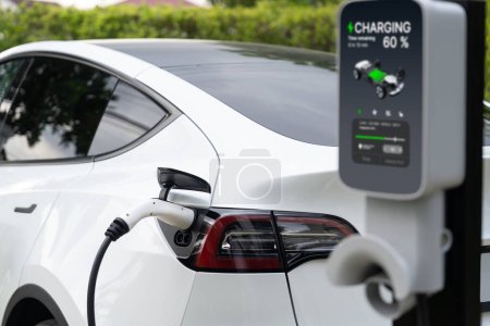 Photo for Closeup EV charger plug handle attached to electric vehicle port, recharging battery from charging station. Modern designed EV car and clean energy sustainability for better future concept. Synchronos - Royalty Free Image