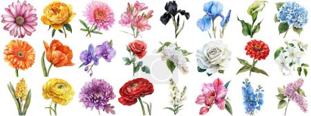 Photo for Watercolor flower set isolated background. Various floral collection of nature blooming flower clip art illustration element for retro flora wedding or romantic valentine card. crisp edges cut out. - Royalty Free Image