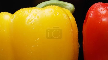 Red and yellow bell peppers in this stunning macrography against a black background. Each close-up shot captures the rich hues, intricate textures, and captivating details of bell peppers. Comestible.