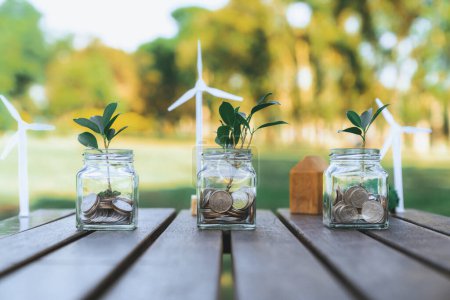 Concept of sustainable money growth investment with glass jar filled with money savings coins represent eco-friendly financial investment nurtured with nature and contribute healthy retirement. Gyre