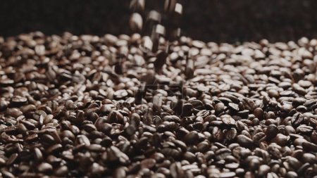 Nahaufnahme fallender Kaffeebohnen mit schwarzem Hintergrund. Zeitlupe. Abstrakte von geröstetem Kaffee fallen zusammen mit einem Haufen Kaffeebohnen, die für die Zubereitung von Kaffeezubereitungsmethode oder Zutaten vorbereitet sind. Komestibel.