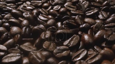 Plan macro de plan au ralenti super de grains de café frais placés avec un fond noir. Gros plan des piles de graines de café torréfiées aromatiques entourées. Macrographie. Des haricots éparpillés. Comestible.