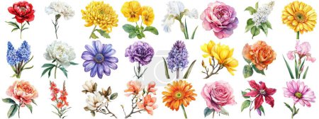 Photo for Watercolor flower set isolated background. Various floral collection of nature blooming flower clip art illustration element for retro flora wedding or romantic valentine card. crisp edges cut out. - Royalty Free Image