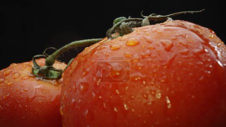 Makrografie, Tomaten eingebettet in einen rustikalen Holzkorb, werden vor einem dramatischen schwarzen Hintergrund präsentiert. Jede Nahaufnahme fängt die satten Farben und Texturen der Tomaten ein. Komestibel.