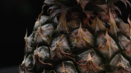 Eine Nahaufnahme einer frischen Ananas-Textur vor einem dramatischen schwarzen Hintergrund. Die raue, wachsartige Rinde mit einer Krone aus stacheligen grünen Blättern glänzt separat vor schwarzem Hintergrund. Komestibel.