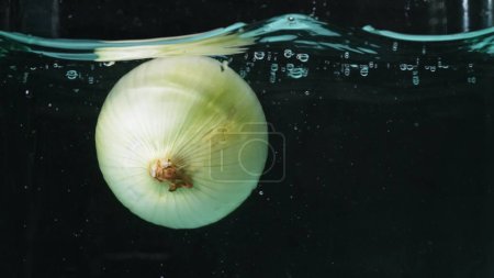 Photo for Whole onion in water with a splash. High-speed photography on black background. Close up of onion falling or dropping in to splashed water. Freshness and cooking concept. Design for poster. Pabulum. - Royalty Free Image