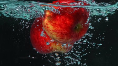 A close up of a fresh vibrant red tomato floating in clear water with black background. Macrography of organic apple falling and dropping in to splashing cool water. Freshness concept. Pabulum.