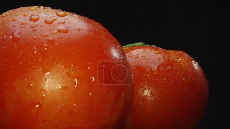 Makrografie, Tomaten eingebettet in einen rustikalen Holzkorb, werden vor einem dramatischen schwarzen Hintergrund präsentiert. Jede Nahaufnahme fängt die satten Farben und Texturen der Tomaten ein. Komestibel.