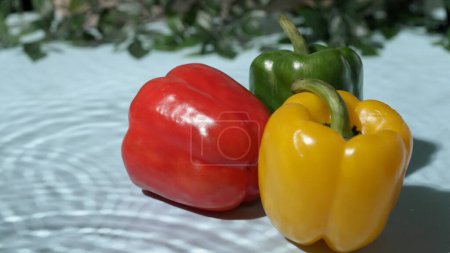 Foto de Bell peppers in red, green, and yellow on a blue textured background. Close up of bell peppers with water wave and green leaves. Natural light studio. Healthy eating and nutrition concept. Pabulum. - Imagen libre de derechos