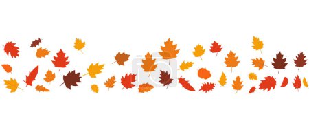 Illustration for Flat design of autumn leaves fall , autumn colored leaves isolated set for advertising banner of autumn season, vector illustration . - Royalty Free Image